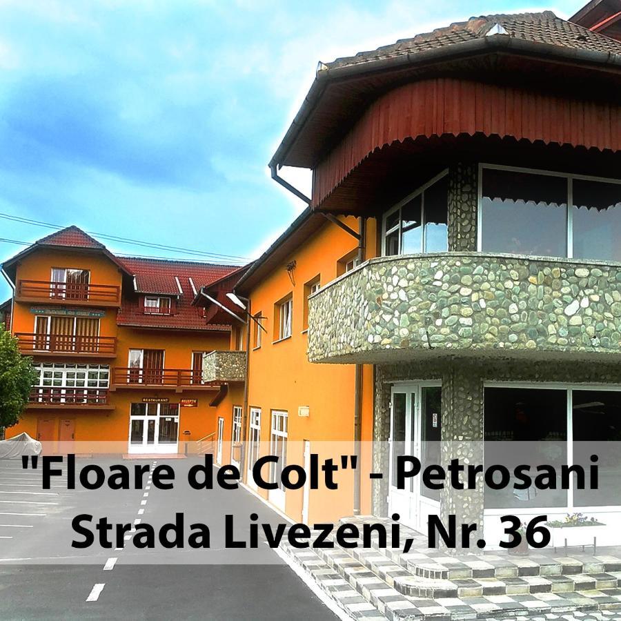 فندق Floare De Colt Petroşani المظهر الخارجي الصورة